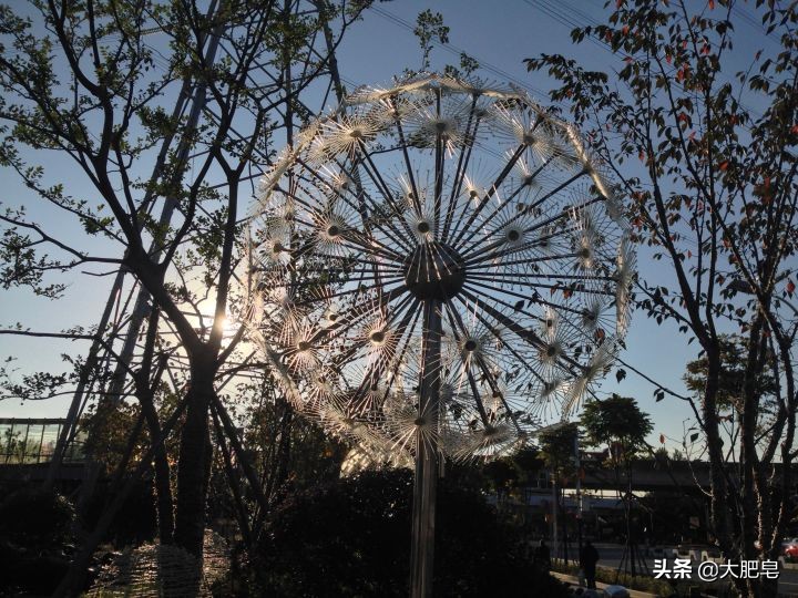 iphone5系列哪个拍照好看,iphone5拍照好看还是5s好看