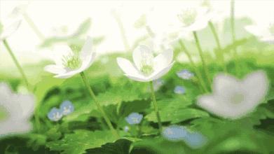 关于春天的古诗词美篇,让人惊艳的春天古诗词