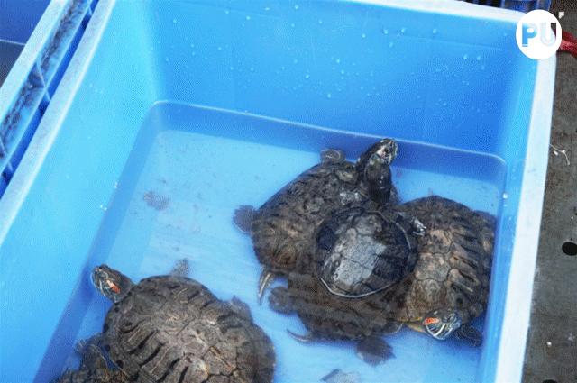 老广州的回忆,买不来的回忆