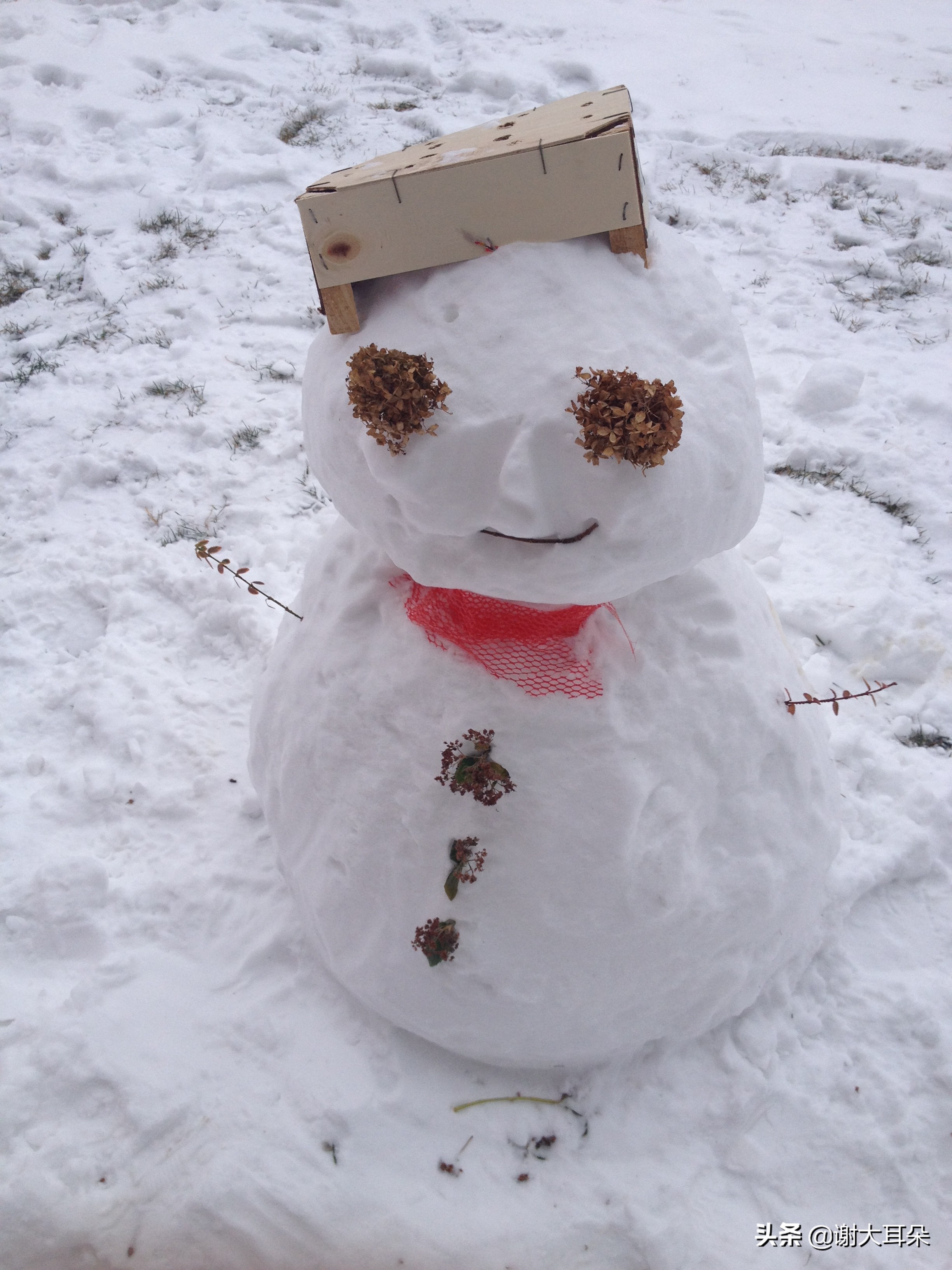 华人在加拿大小镇真实生活,加拿大生活是一种怎样的体验