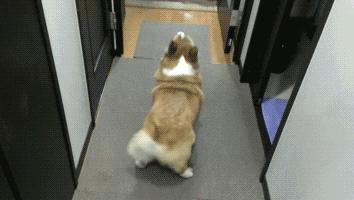 深航随心飞2022还有吗,海航4999随心飞划算吗