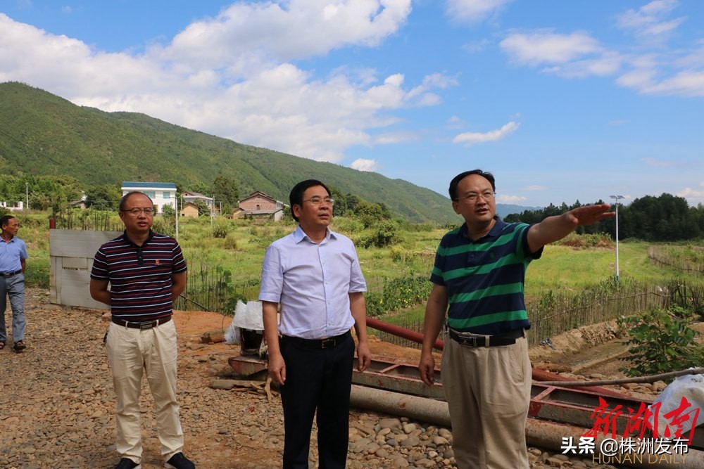 待到山花烂漫——追记“最美扶贫书记”黄诗燕