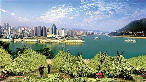 重庆综合保税区规划,重庆保税港区发展