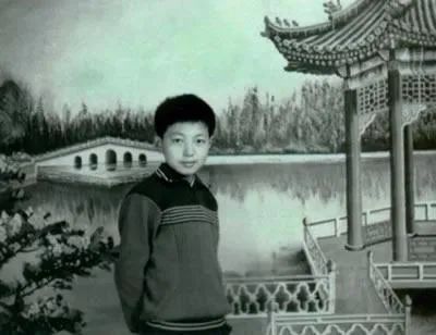 撒贝宁硬刚张绍刚,撒贝宁介绍张绍刚