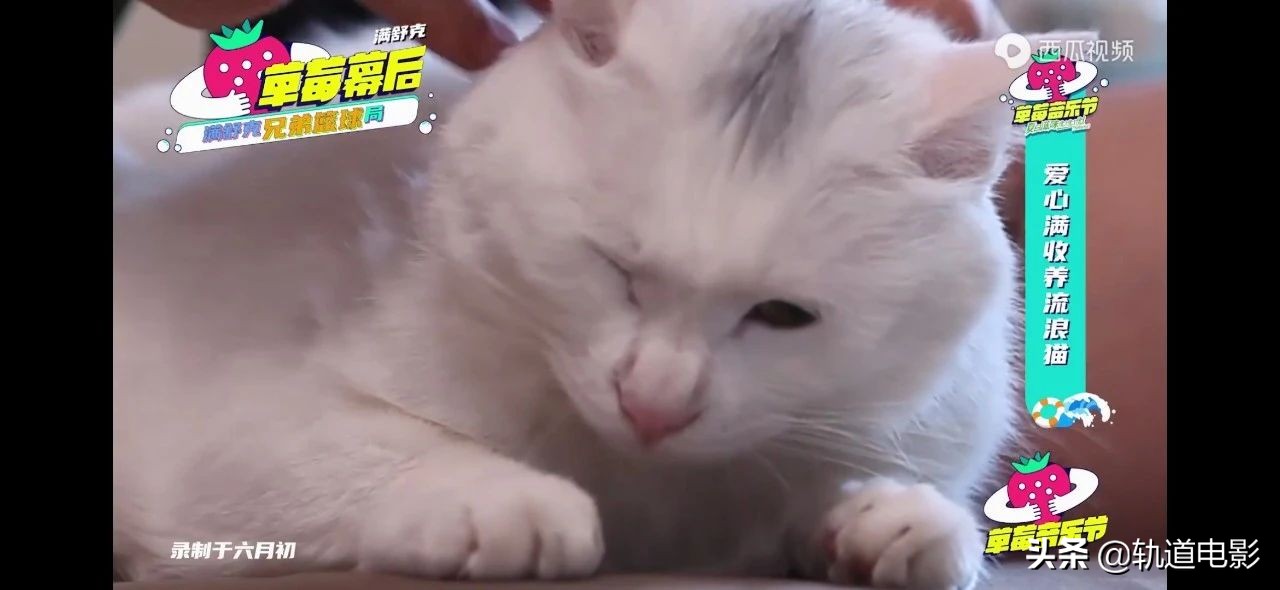 你不知道的艺人另一面,你不知道的歌手推荐