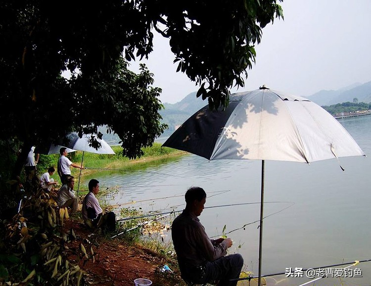 长期钓鱼的人容易得什么病,经常钓鱼对身体健康好不好