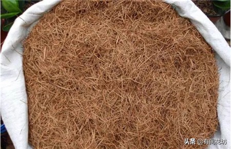 养花土营养怎么补,养花土不硬的妙方