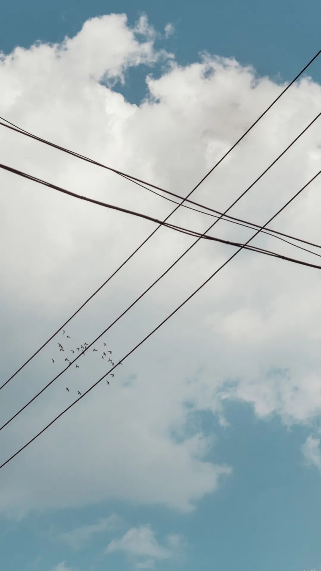 高中神话华师一,南京一中高中