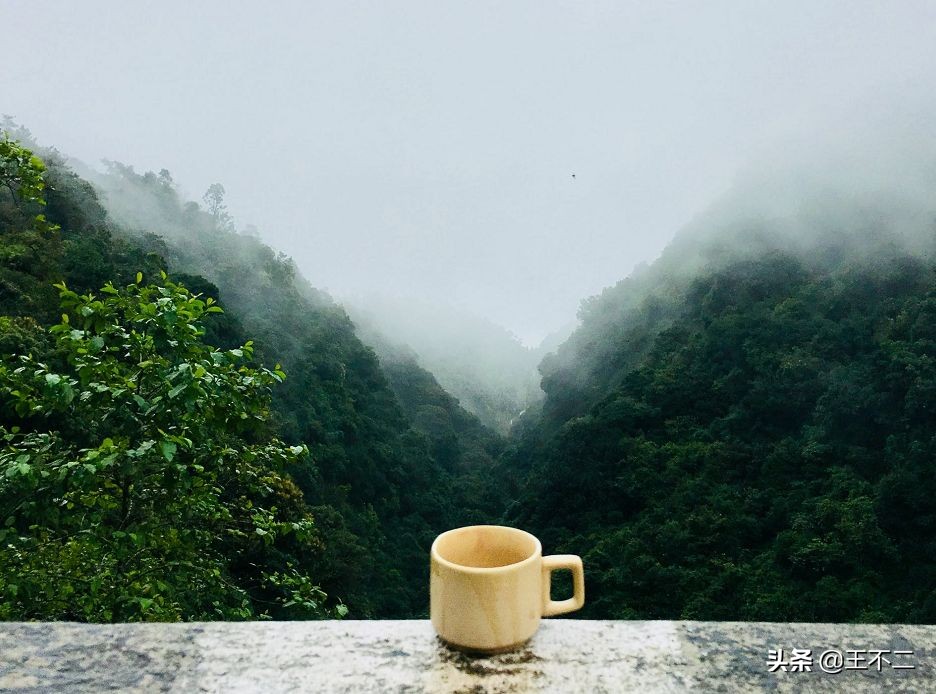 远赴人间盛宴谈笑风生不动情,远赴人间惊鸿宴谈笑风生不动情