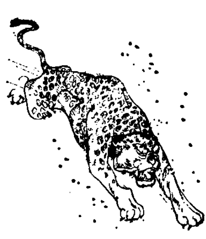 当代武松的传奇,当代武松小说