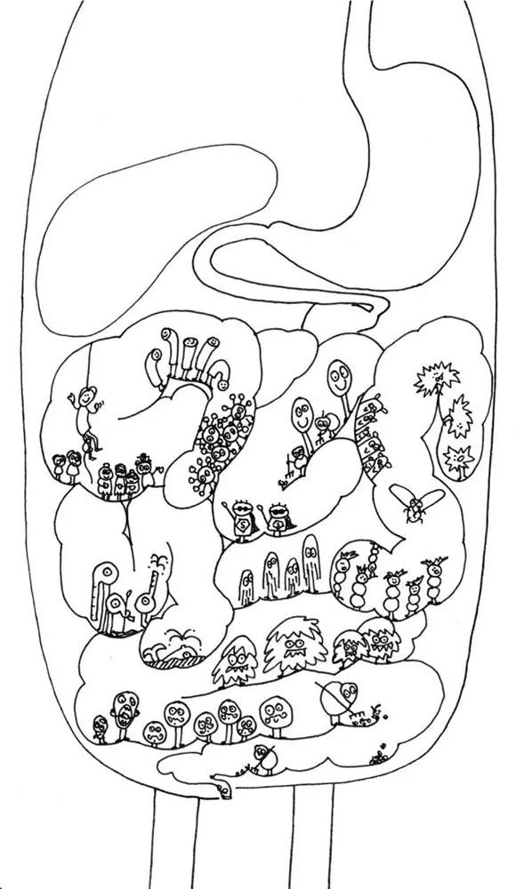 肠子的小心思书籍简介,肠子的小心思科普