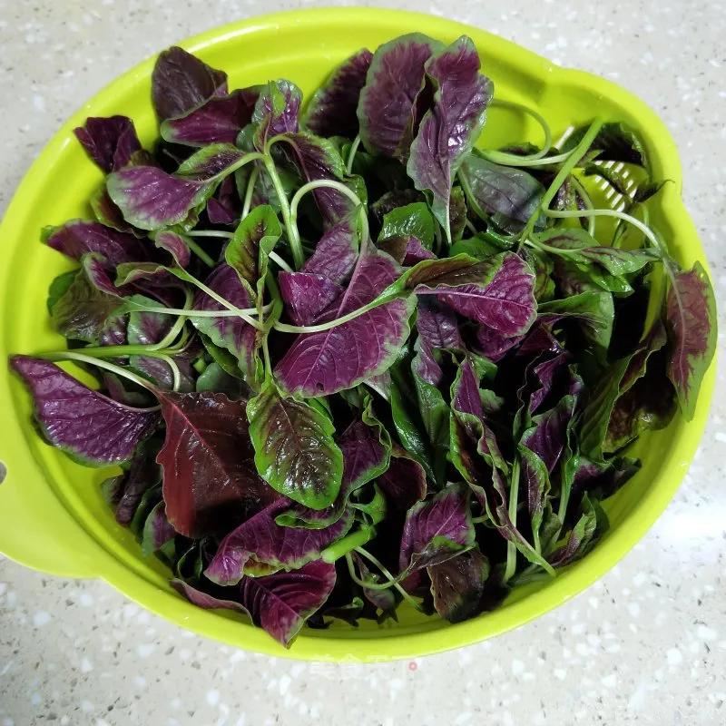 半斤苋菜含多少草酸,一两苋菜一两金啥意思