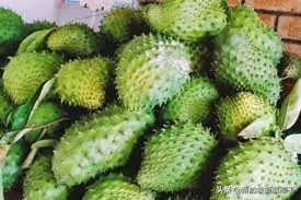 新加坡吃不到的食物,去新加坡吃东西发现没有美食