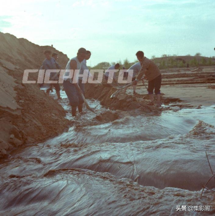 榆林市镇川镇老照片 (榆林市卫校老照片)