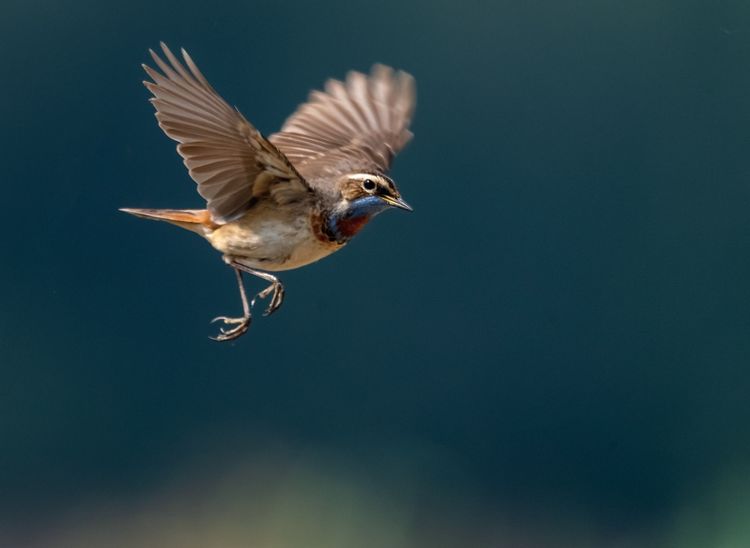 情人岛拍摄地点,情人岛航拍视频
