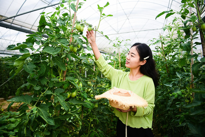 乌村暑期夏令营，吃喝玩乐在这里