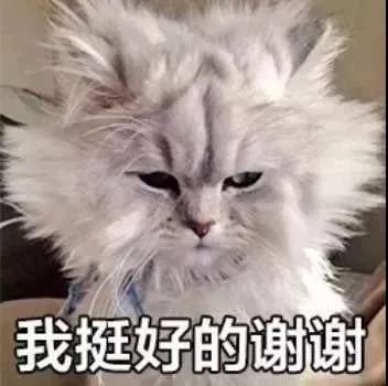 做美甲贴甲片掉了,做美甲的时候胸垫掉了