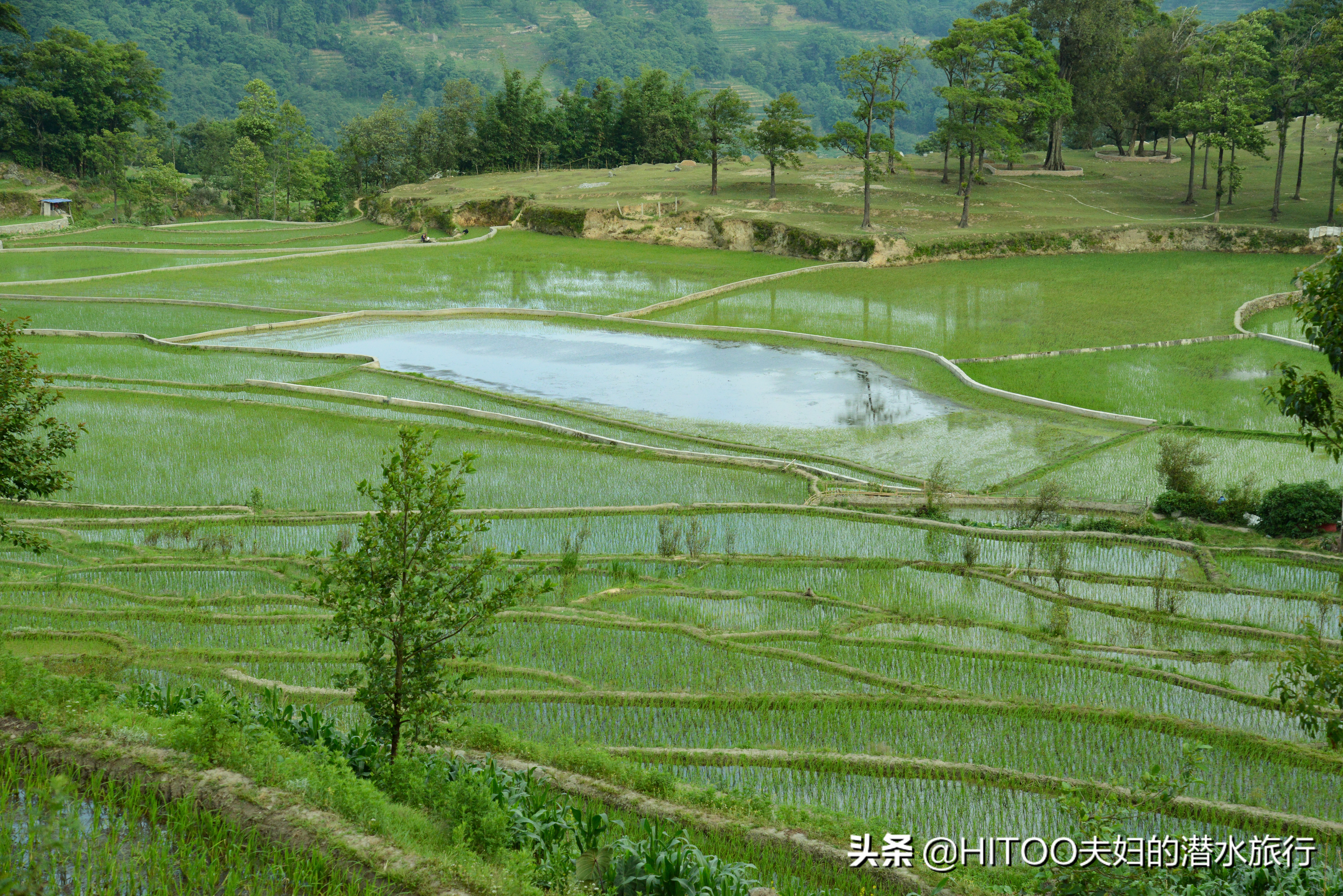 自驾元阳梯田旅游攻略时间,元阳梯田自驾游玩攻略路线