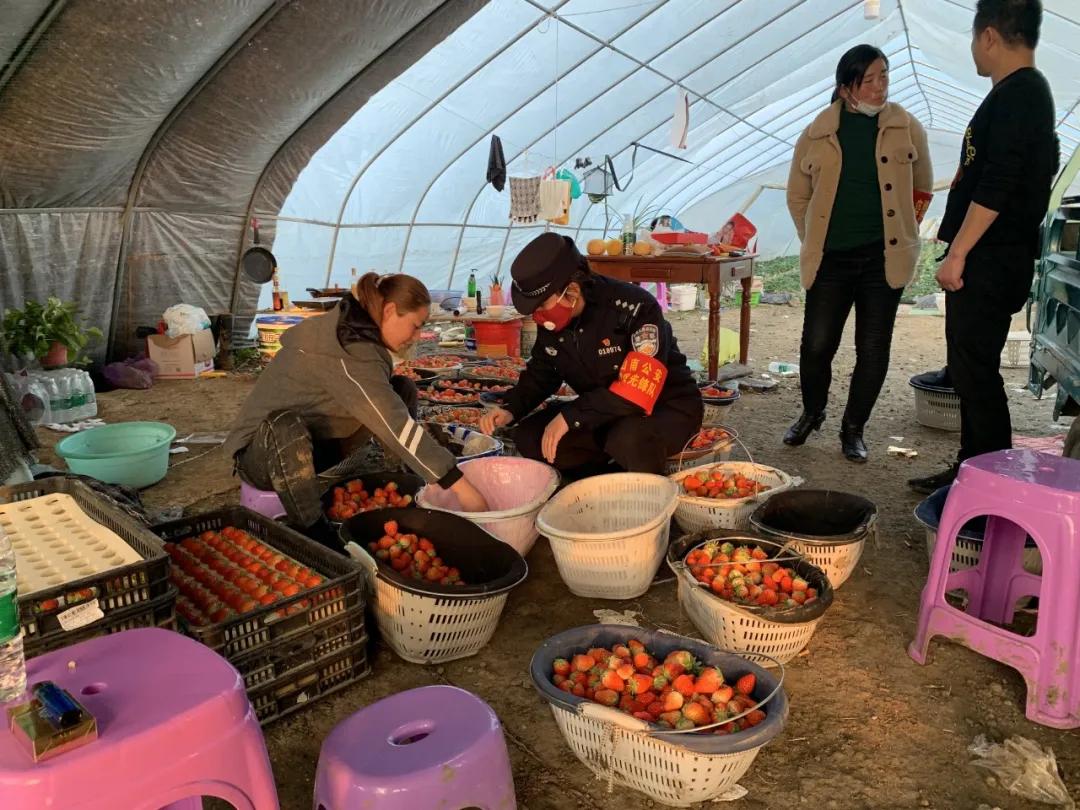 疫情期间民警实际工作,战疫者警察