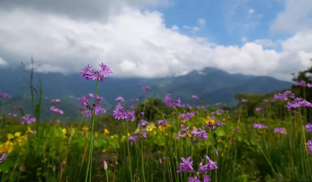 台湾文创标杆——清境农场!