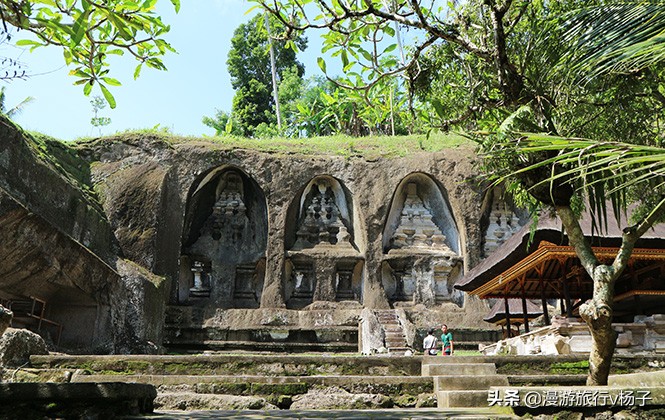 巴厘岛什锦饭和猫屎咖啡,巴厘岛的猫屎咖啡豆的价位