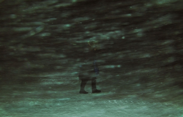 EvgeniaArbugaeva：冰雪童话