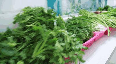 降血脂医学手段,美国降血脂