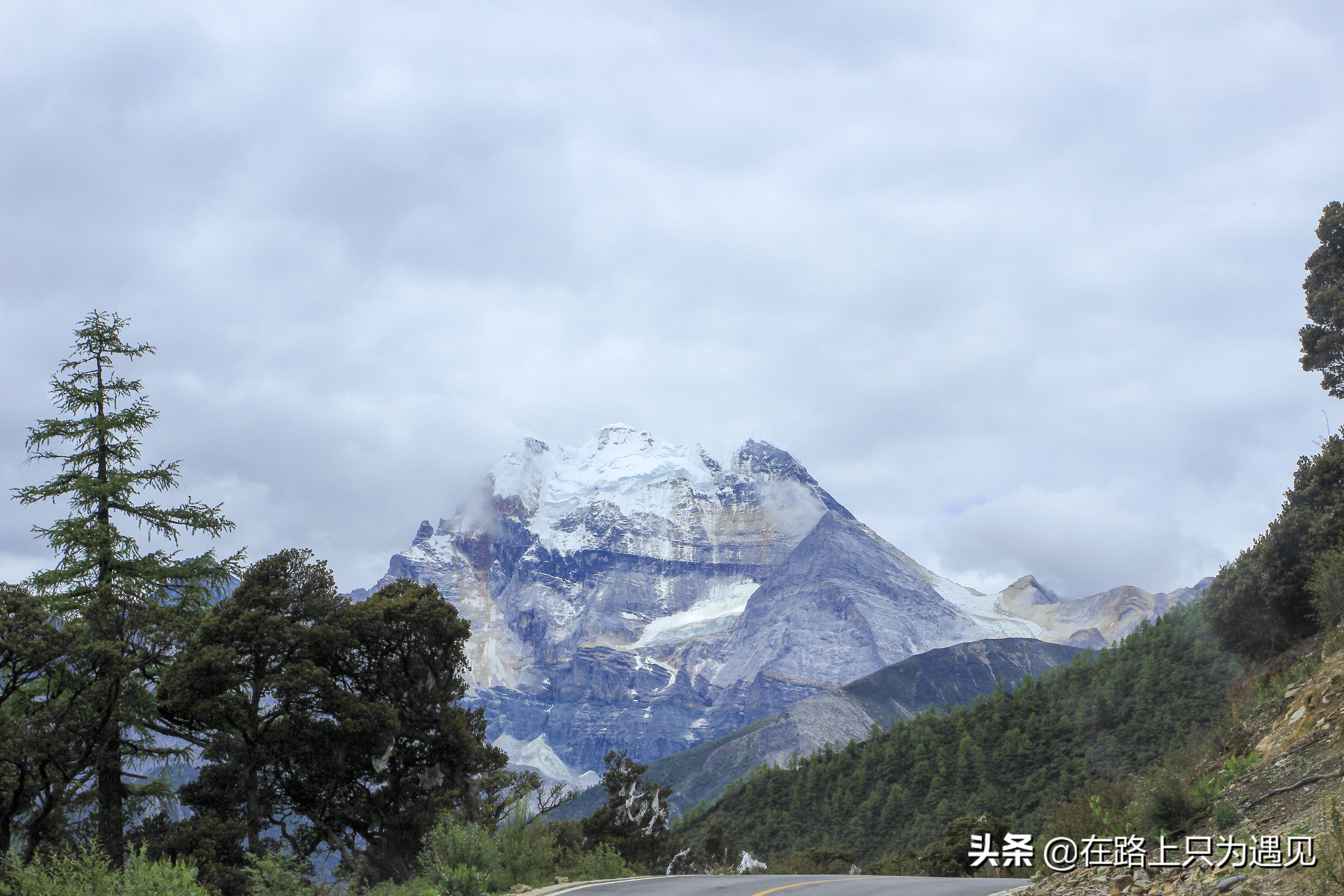 从你的全世界路过稻城亚丁主人公,从你的全世界路过稻城亚丁片段