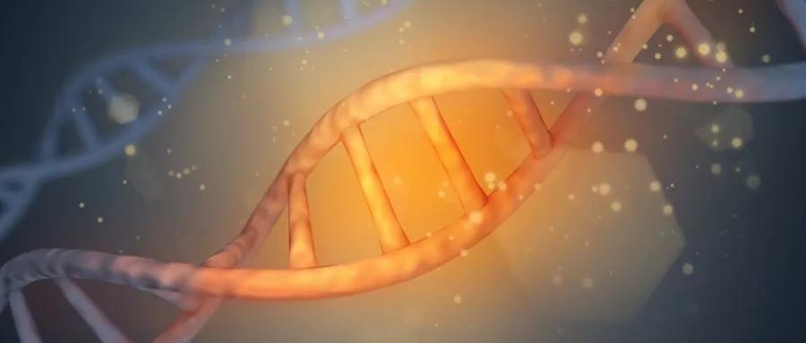 补体低会有哪些表现,补体怎么老是升不上去