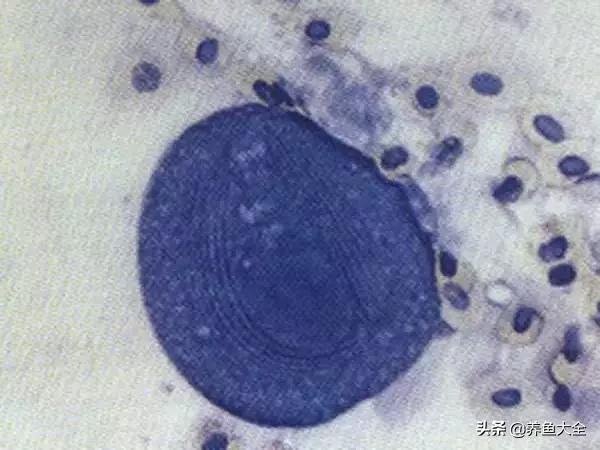 疾病科普小讲堂,疾病知识小讲堂