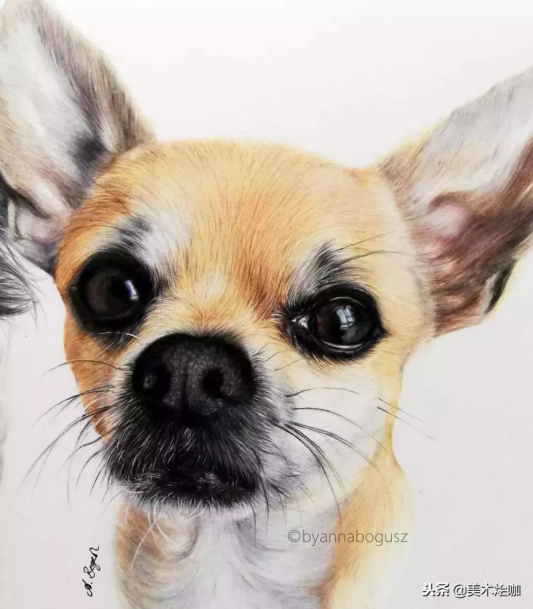 彩铅画教程超写实零基础入门,超写实彩铅画高清大图水果组合