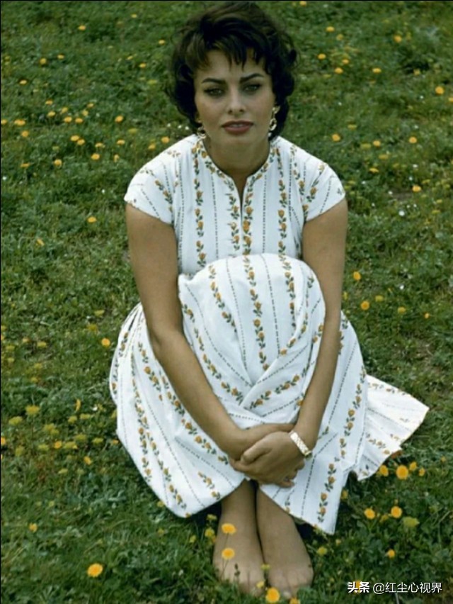 1957年，美丽的索菲娅·罗兰意大利永远的女神！