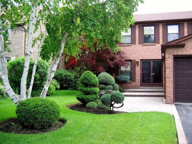 楼顶草坪花园设计效果图,草坪该如何养护管理