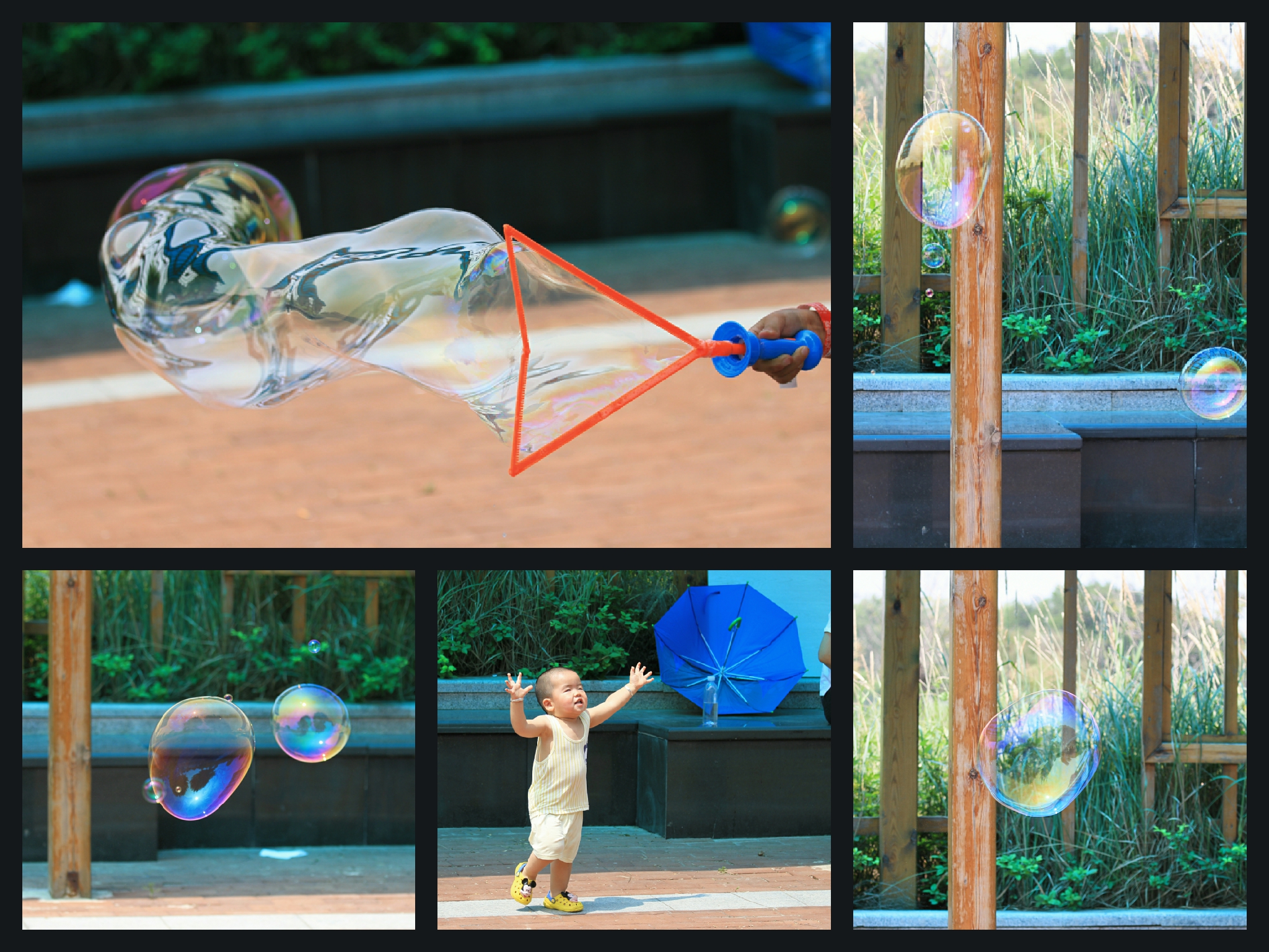 华北第一大海岛,菩提岛历史