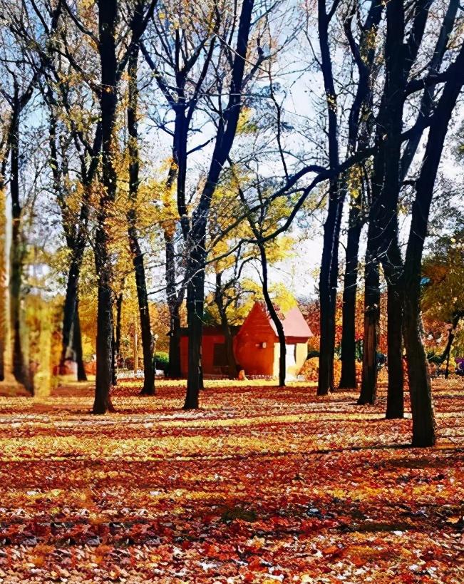 辽宁省发展鞍山篇,辽宁省鞍山市区域划分