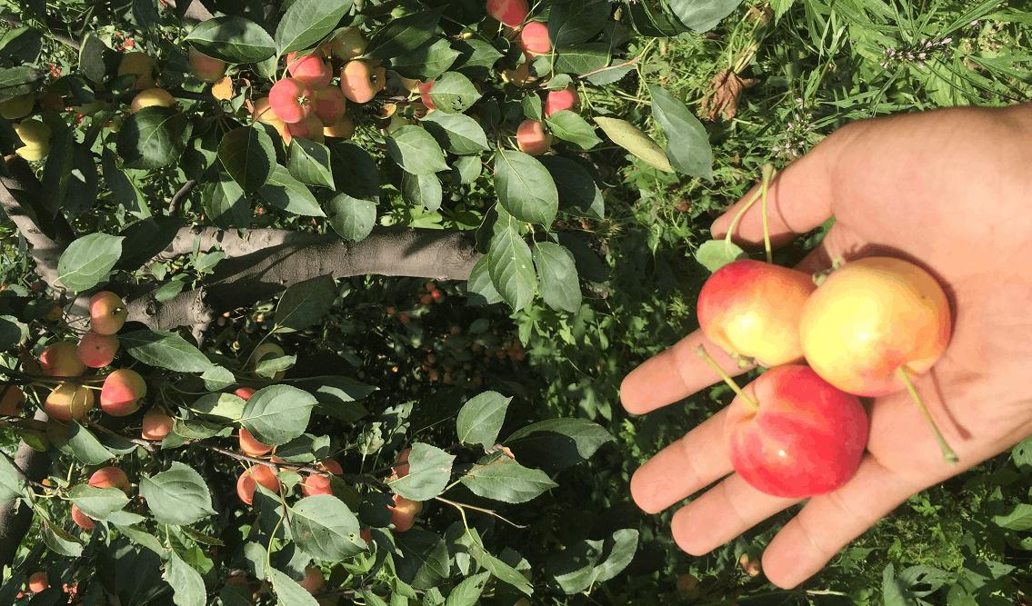 脱贫致富奔小康,走进田间地头助力脱贫攻坚