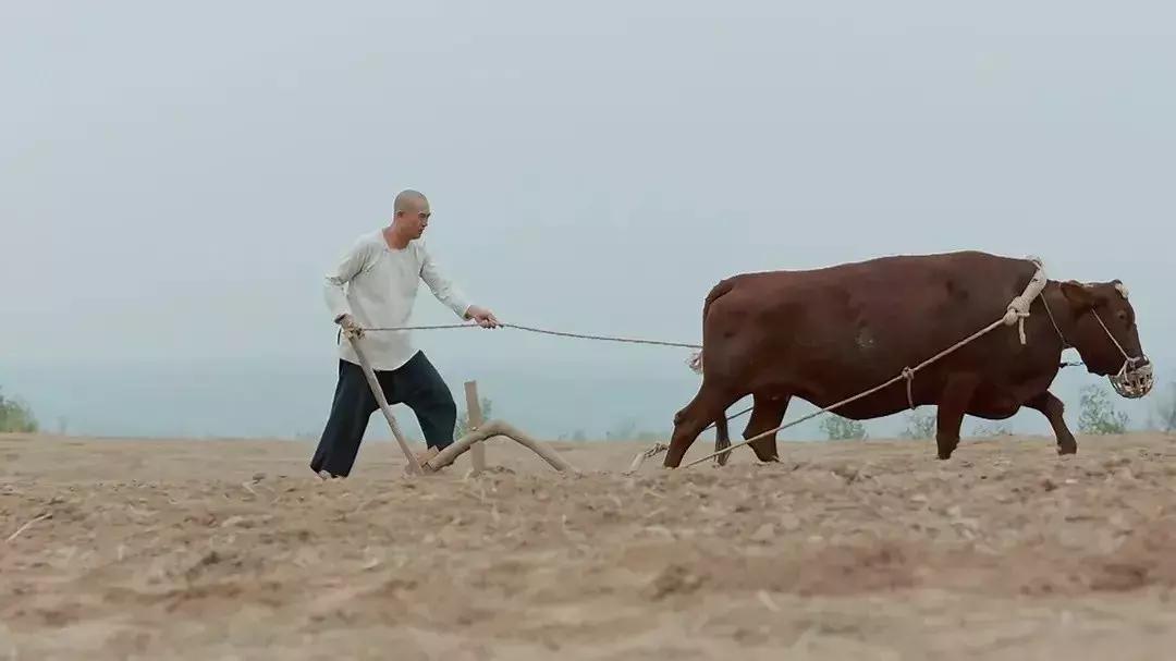 一个逃难到临潼的风水先生和我们家族80年的命运