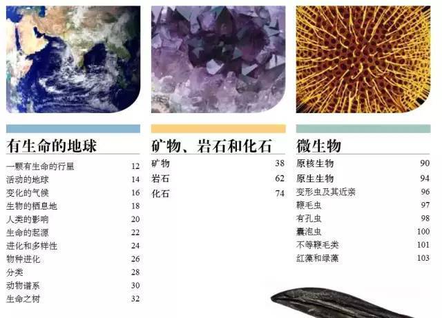 dk系列书籍六岁孩子适合入手哪些,dk儿童认知书推荐