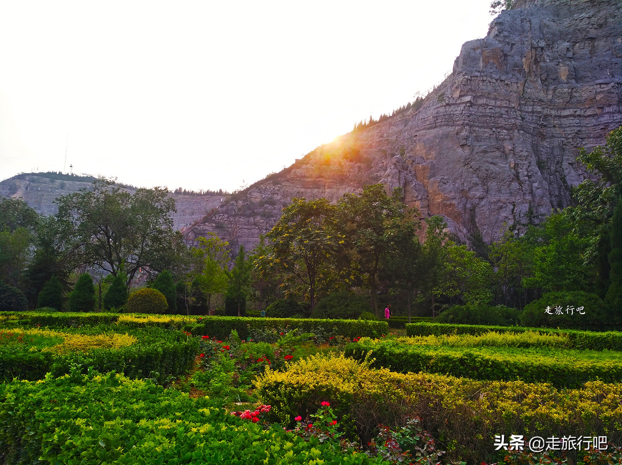 新乡凤凰山森林公园坐几路公交车,凤凰山森林公园新乡怎么开车上去