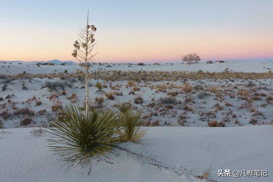 摄影曝光补偿的妙用,学习摄影曝光