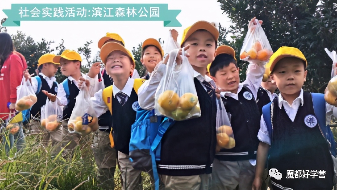 徐汇区一贯制学校,徐汇区九年制一贯制学校