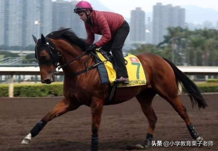 二年级语文一匹出色的马,二年级语文基础训练一匹出色的马