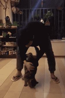 网红绑猫*藏西**骑行求关注,遭网友质疑回怼:比在家里刺激多了