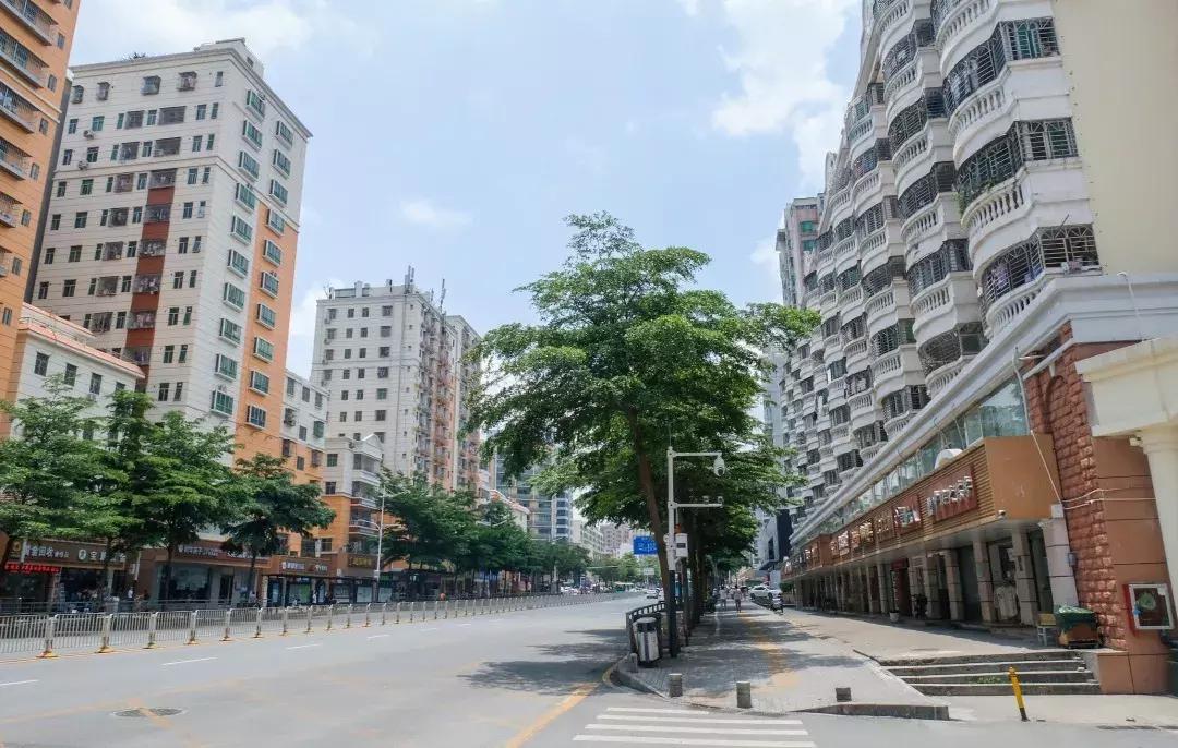 这里是观澜,下一站民治