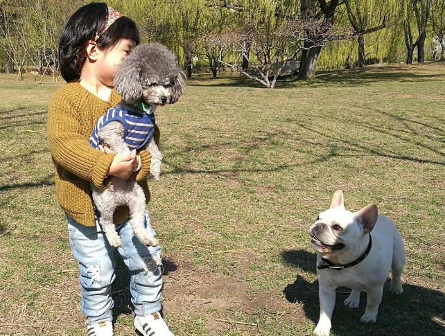 打过疫苗的狗狗抓伤后需要打针吗,被狗爪子抓伤要打疫苗吗