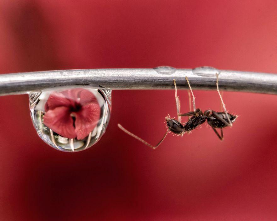 生物世界真的很奇妙,大自然中奇妙的生物