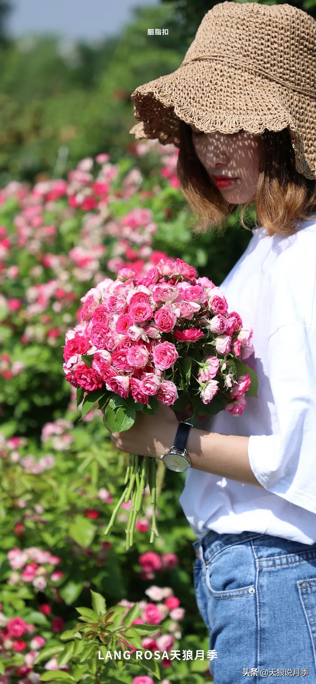 不容易，天狼自育终于打折了！空蒙只要50不到！