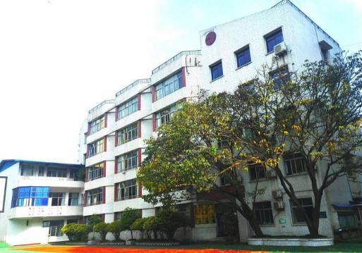 重庆南岸区公立小学学校,重庆南岸区小学排名一览表