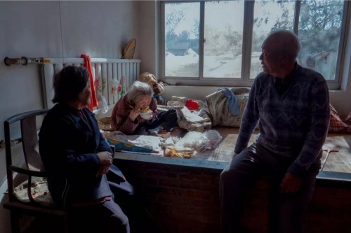 美菜启动助销计划普通市民可认购“爱心白菜”