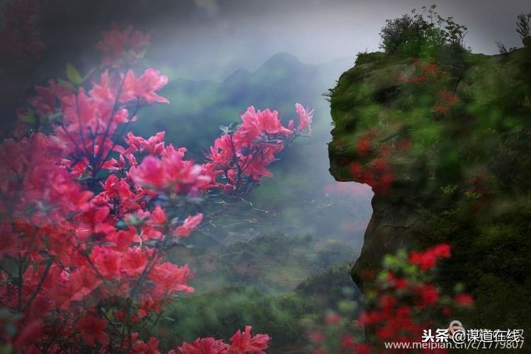 苏马荡程门,苏马荡托斯卡花谷